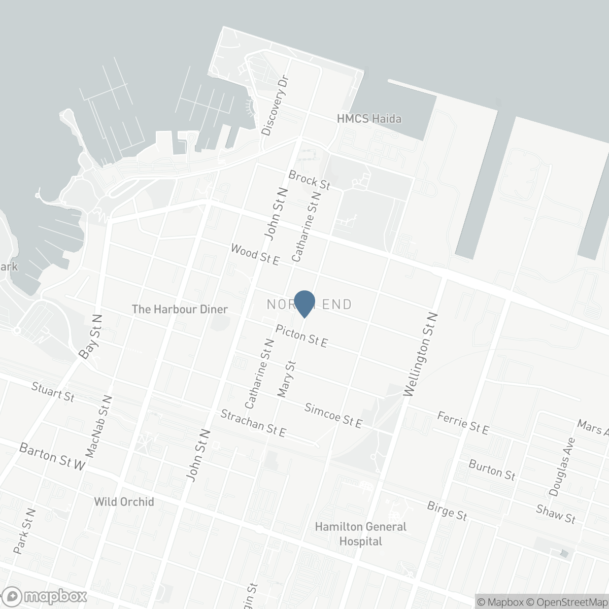 109 MACAULAY Street E, Hamilton, Ontario L8L 3X4
